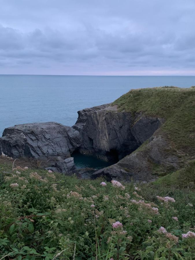 Wild Coastal Retreat At Troed Y Rhiw Aberporth, West Wales Exterior foto