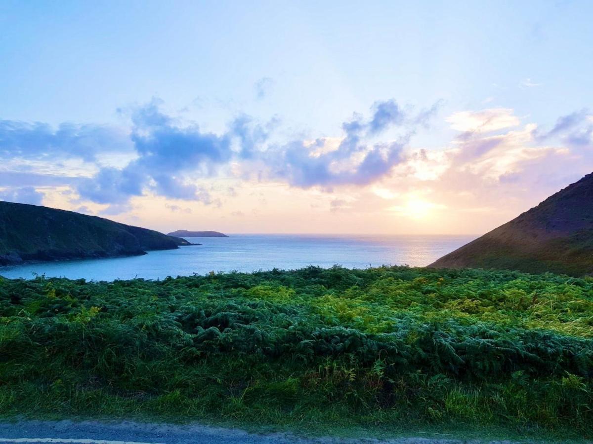 Wild Coastal Retreat At Troed Y Rhiw Aberporth, West Wales Exterior foto